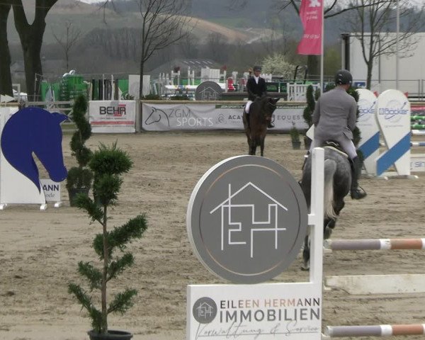 Reitturnier Werne-Lenklar 2023