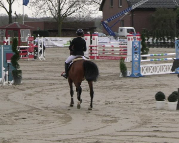 Reitturnier Werne-Lenklar 2023