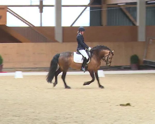 Reitturnier Grafenrheinfeld/Ufr. 2023