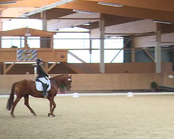 Reitturnier Grafenrheinfeld/Ufr. 2023