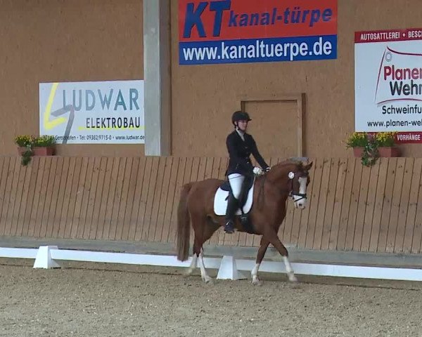 Reitturnier Grafenrheinfeld/Ufr. 2023