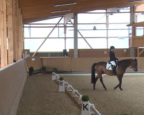 Reitturnier Grafenrheinfeld/Ufr. 2023