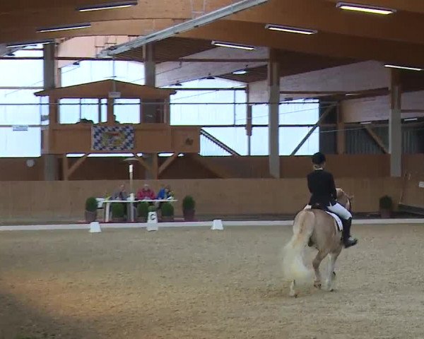 Reitturnier Grafenrheinfeld/Ufr. 2023
