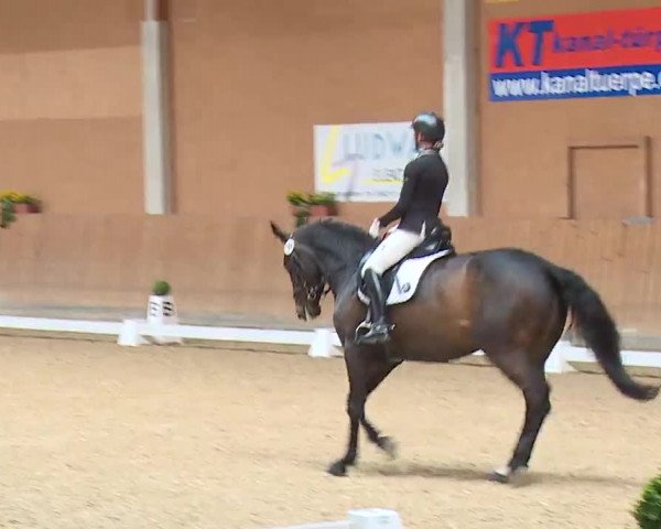 Reitturnier Grafenrheinfeld/Ufr. 2023
