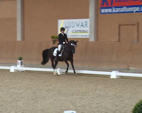 Reitturnier Grafenrheinfeld/Ufr. 2023
