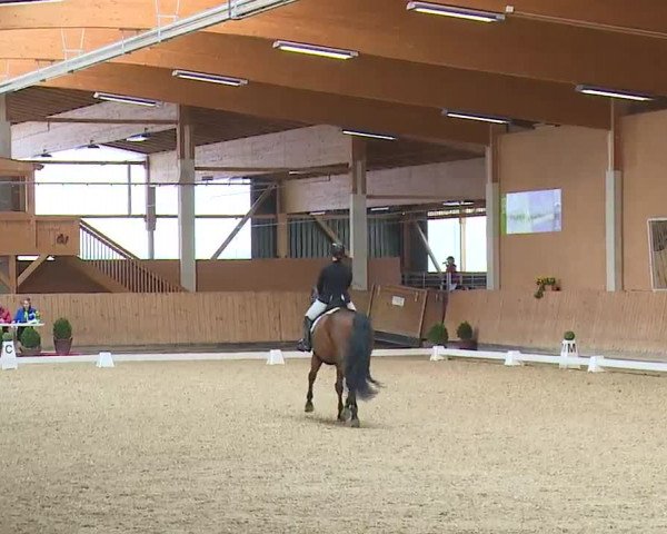 Reitturnier Grafenrheinfeld/Ufr. 2023
