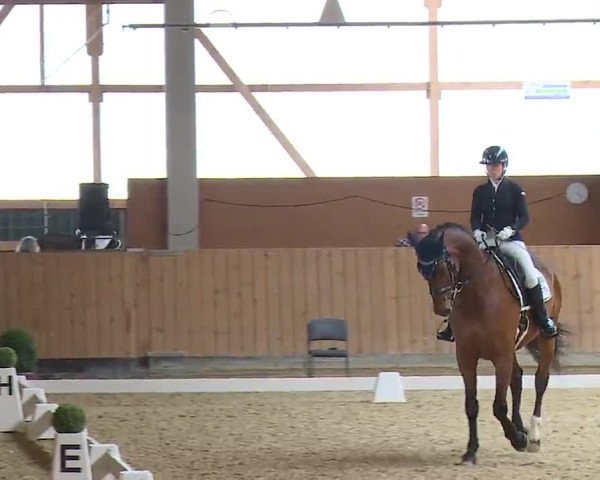 Reitturnier Grafenrheinfeld/Ufr. 2023