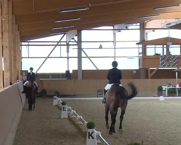 Reitturnier Grafenrheinfeld/Ufr. 2023