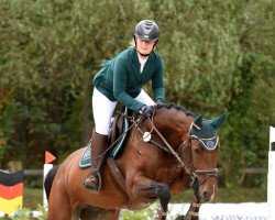jumper Cool Daisy 3 (Oldenburg show jumper, 2017, from Cassini 10)