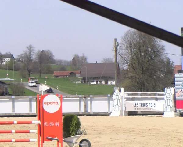 Reitturnier Wädenswil 2023