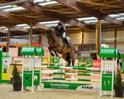 jumper Lmk Cortes (Oldenburg, 2015, from Casallco)