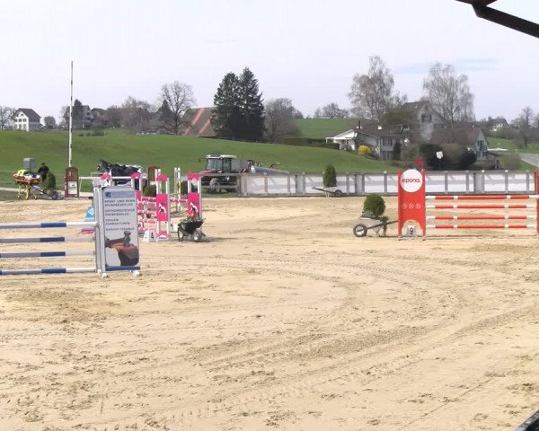 Reitturnier Wädenswil 2023