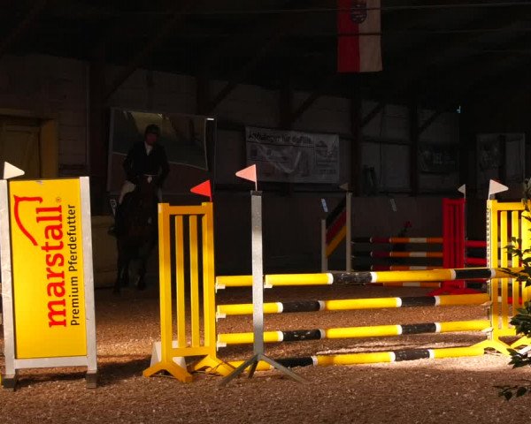 Reitturnier Elisenau 2023