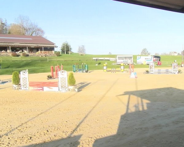 Reitturnier Wädenswil 2023