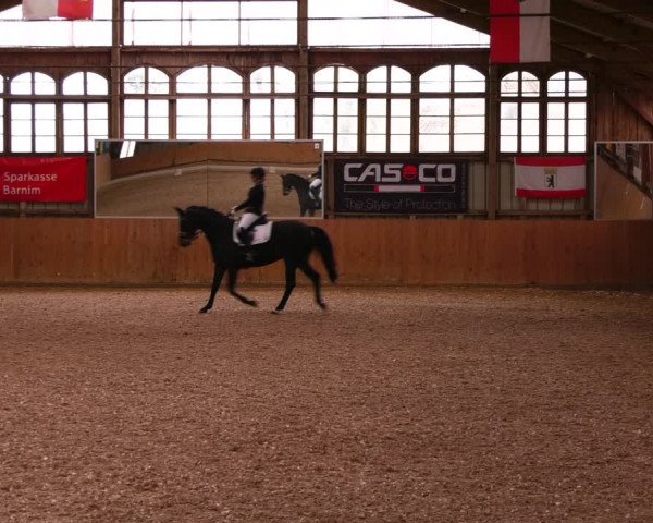 Reitturnier Elisenau 2023