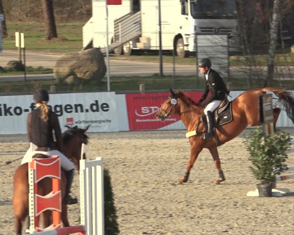 Reitturnier Westergellersen 2023