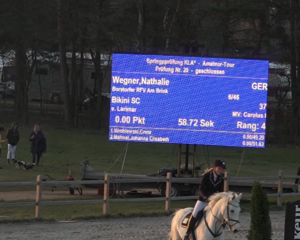 Reitturnier Westergellersen 2023