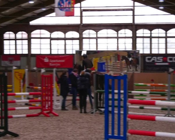 Reitturnier Elisenau 2023