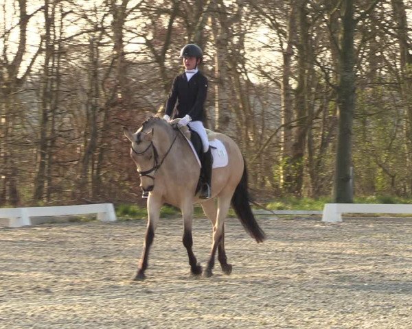 Reitturnier Elmlohe 2023