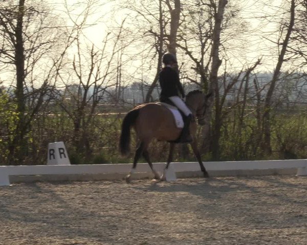 Reitturnier Elmlohe 2023