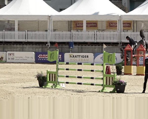 Reitturnier Amriswil 2023