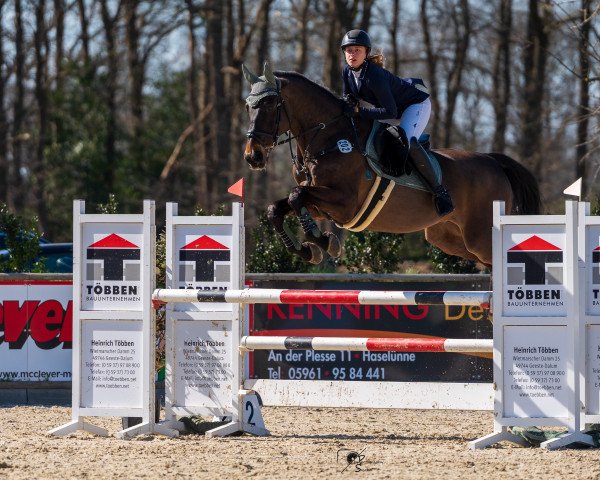 jumper Charleston 63 (Holsteiner, 2010, from Berlin)