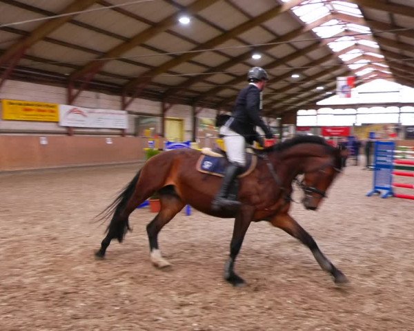 Reitturnier Elisenau 2023