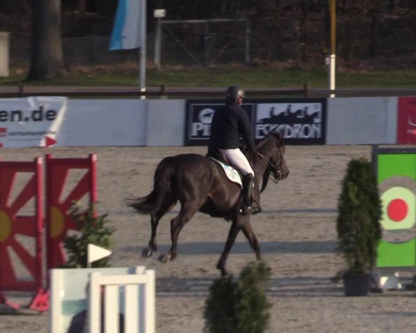 Reitturnier Westergellersen 2023