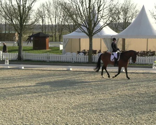 Reitturnier Elmlohe 2023