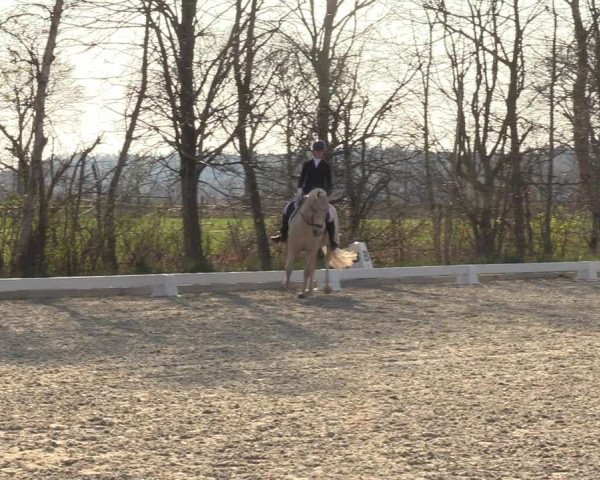 Reitturnier Elmlohe 2023