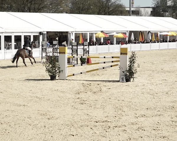 Reitturnier Amriswil 2023