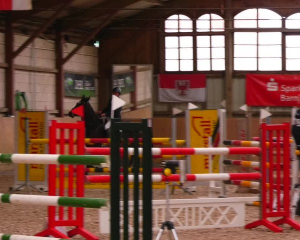 Reitturnier Elisenau 2023