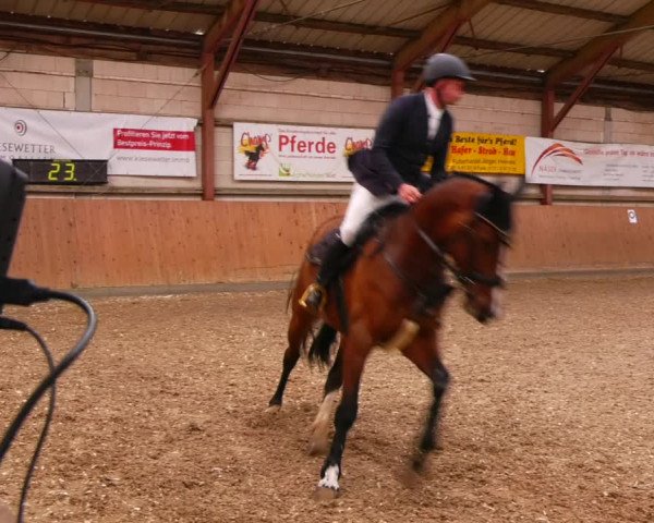 Reitturnier Elisenau 2023