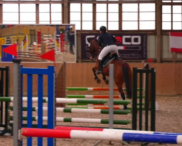 Reitturnier Elisenau 2023