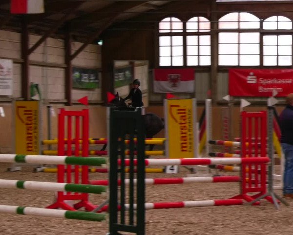 Reitturnier Elisenau 2023