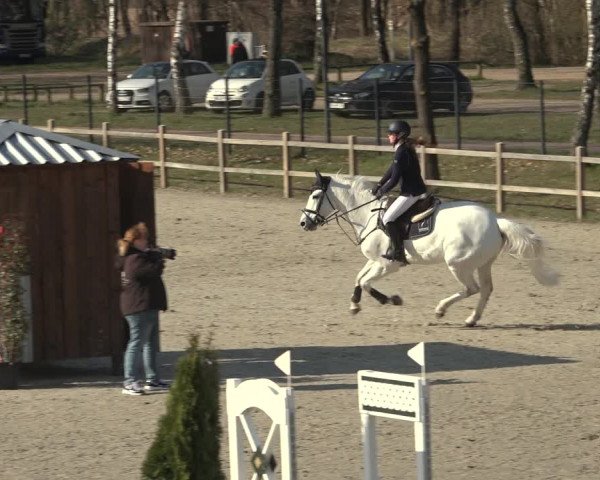 Reitturnier Westergellersen 2023