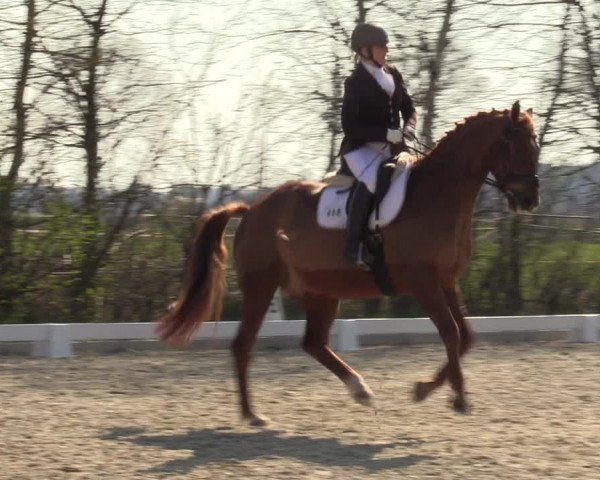 Reitturnier Elmlohe 2023