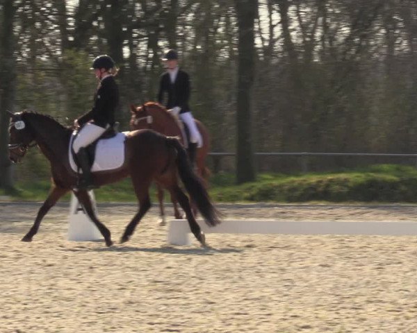 Reitturnier Elmlohe 2023