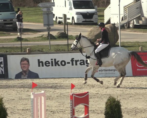 Reitturnier Westergellersen 2023