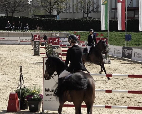Reitturnier Amriswil 2023