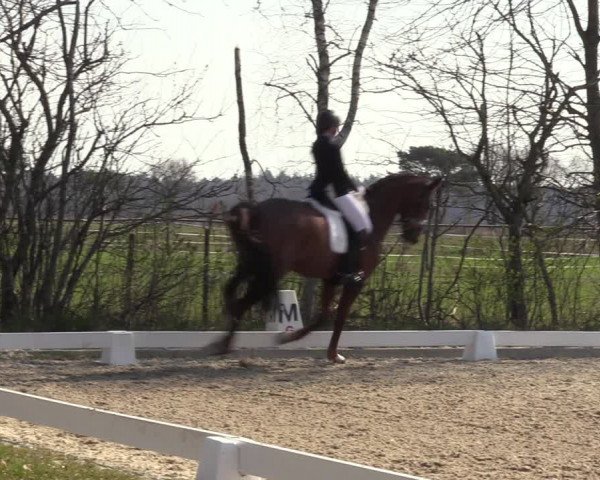 Reitturnier Elmlohe 2023