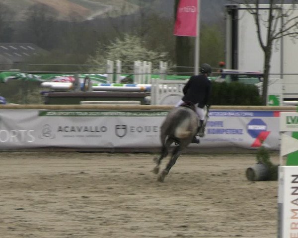 Reitturnier Werne-Lenklar 2023