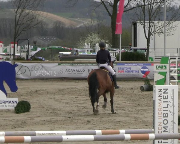 Reitturnier Werne-Lenklar 2023