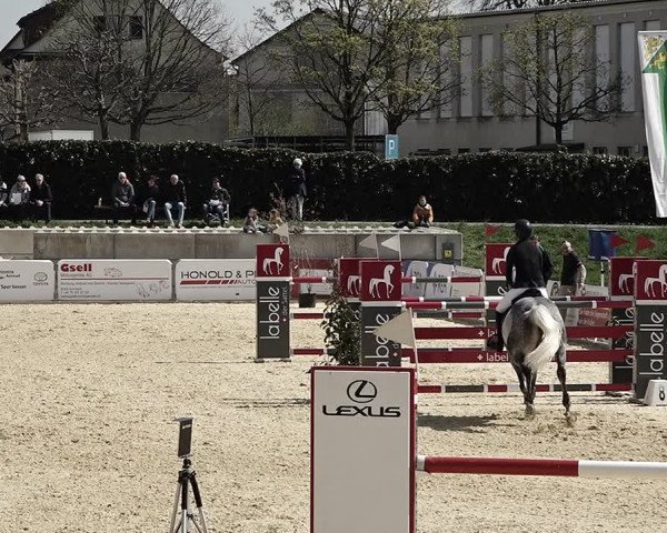 Reitturnier Amriswil 2023