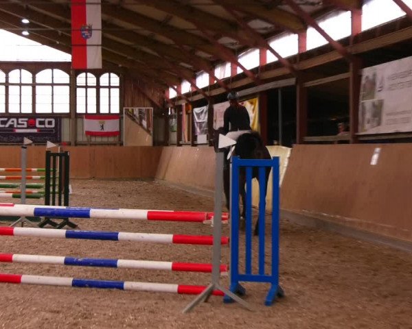Reitturnier Elisenau 2023