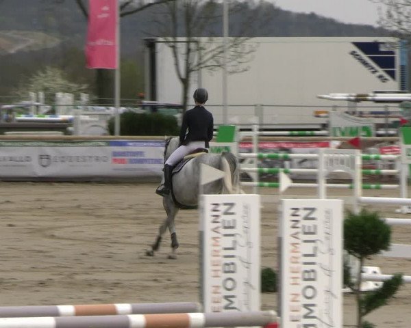 Reitturnier Werne-Lenklar 2023