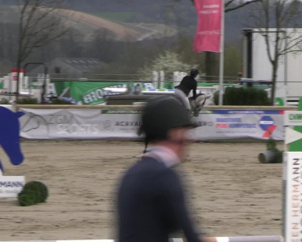 Reitturnier Werne-Lenklar 2023