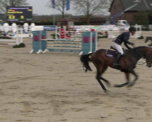 Reitturnier Werne-Lenklar 2023