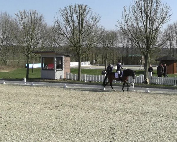 Reitturnier Elmlohe 2023