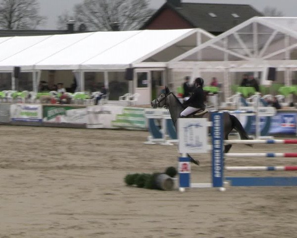 Reitturnier Werne-Lenklar 2023